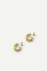 Earrings Jaideep Gold