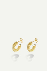 Earrings Jaideep Gold